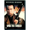 Dvd Sfida tra i ghiacci di Steven Seagal 1994 Usato