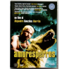 Dvd Amores perros di Alejandro González Iñárritu 2002 Usato