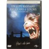 Dvd Un Lupo Mannaro Americano a Londra - Ed. Speciale 20° Anniv. digipack Usato