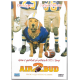 Dvd Air Bud 2 - Eroe a quattro zampe (1998) Usato