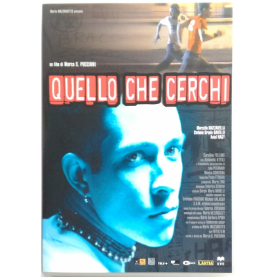 Dvd Quello che Cerchi