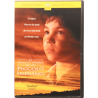 Dvd La magica storia di un piccolo indiano