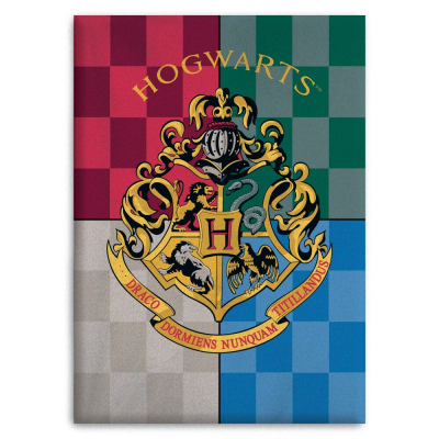 Coperta Plaid in Pile Harry Potter Hogwarts Fleece polar blanket 100x140cm Aymax