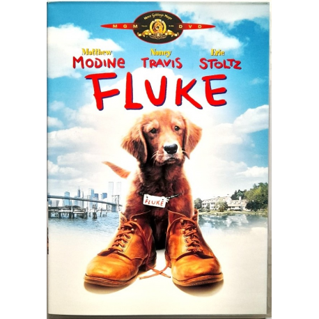 Dvd Fluke con Matthew Modine 1995 Usato