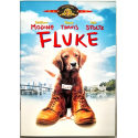 Dvd Fluke con Matthew Modine 1995 Usato