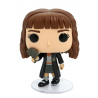 Harry Potter Hermione Granger with Mirror Pop! Funko vinyl figure n° 150