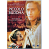 Dvd Piccolo Buddha di Bernardo Bertolucci 1993 Usato