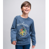 Felpa in pile Harry Potter - Hogwarts Crest Sweatshirt maglione Boy Cerdà