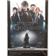 Dvd Animali Fantastici - I Crimini di Grindelwald - con penna bacchetta Nuovo