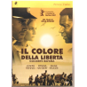 Dvd Il Colore della libertà - Goodbye Bafana di Bille August 2007 Usato