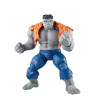 Action figure Marvel Legends Avengers - Gray Hulk and Dr. Bruce Banner Hasbro