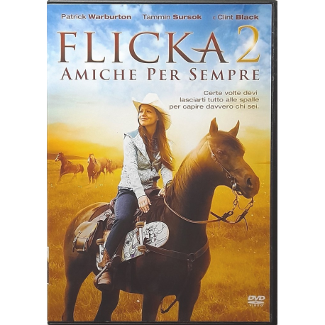 Dvd Flicka 2 - Amiche per sempre 2010 Usato