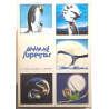 Dvd Animali Superstar (Genesis) - cofanetto slipcase 5 dischi Usato editoriale