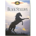 Dvd Black Stallion - ed. MGM di Carroll Ballard 1979 Usato
