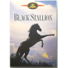 Dvd Black Stallion - ed. MGM di Carroll Ballard 1979 Usato