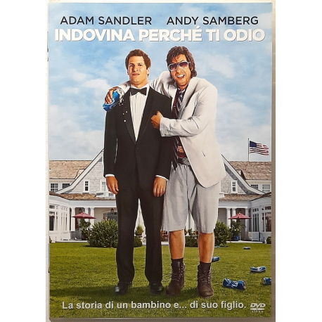 Dvd Indovina perché ti odio con Adam Sandler 2012 Usato