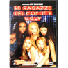 Dvd Le ragazze del Coyote Ugly - con Ologramma tondo Usato