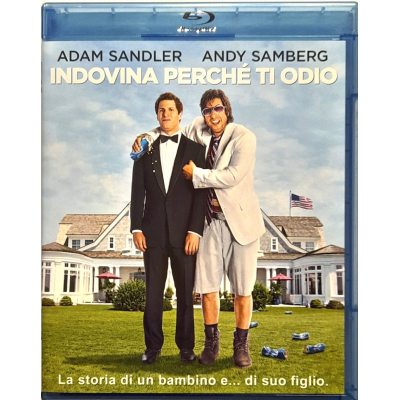 Blu-ray Indovina perché ti odio con Adam Sandler 2012 Usato