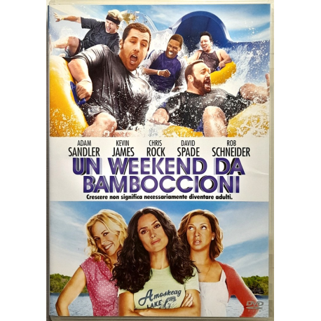 Dvd Un weekend da bamboccioni con Adam Sandler 2010 Usato