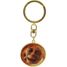 Portachiavi Lord of the Rings Gollum in One Ring metal Keychain 4cm ABYstyle