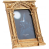 Cornice portafoto Harry Potter Mirror of Erised Gold Photo Frame 22cm Wizarding