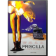 Dvd Priscilla - La regina del deserto di Stephan Elliott 1994 Usato