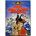Dvd Cani dell'altro mondo di John Robert Hoffman 2003 Usato